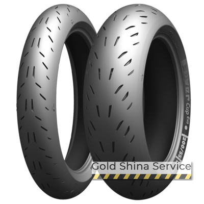 Автошини Michelin Michelin Power CUP EVO 110/70 R17 54W