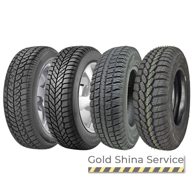 Автошини Diplomat Winter ST 175/70 R13 82T