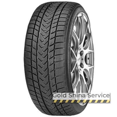 Gripmax Status Pro Winter 265/30 R19 93V XL