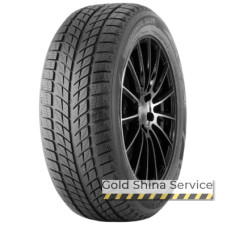 Doublestar WINTERKING DW09 215/45 R17 91H XL