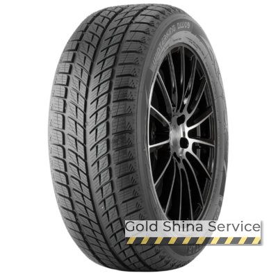 Doublestar WINTERKING DW09 275/40 R20 106V XL