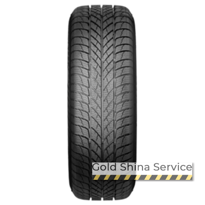Автошини Paxaro INVERNO 215/50 R17 95V XL FR